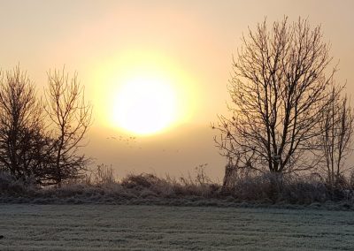 Zonsopkomst in mist 29 december 2016 - 1