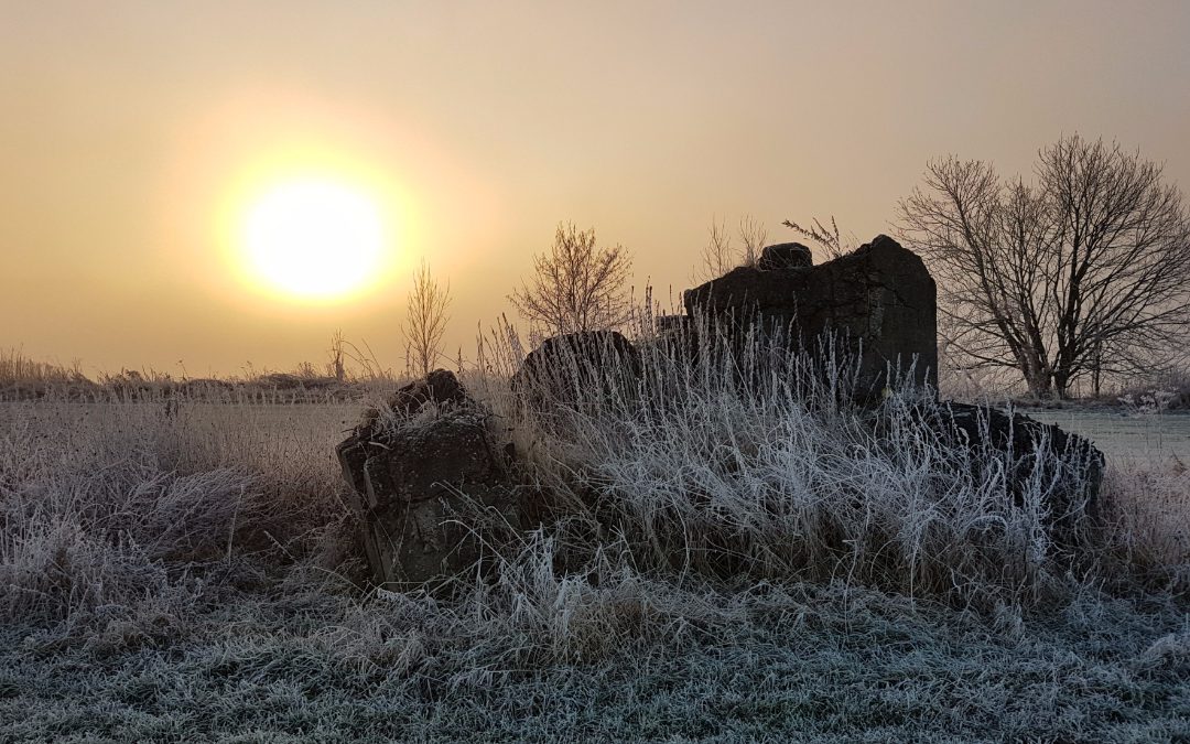 Zonsopkomst in mist 29 december 2016 - 2