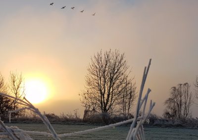 Zonsopkomst in mist 29 december 2016 - 3